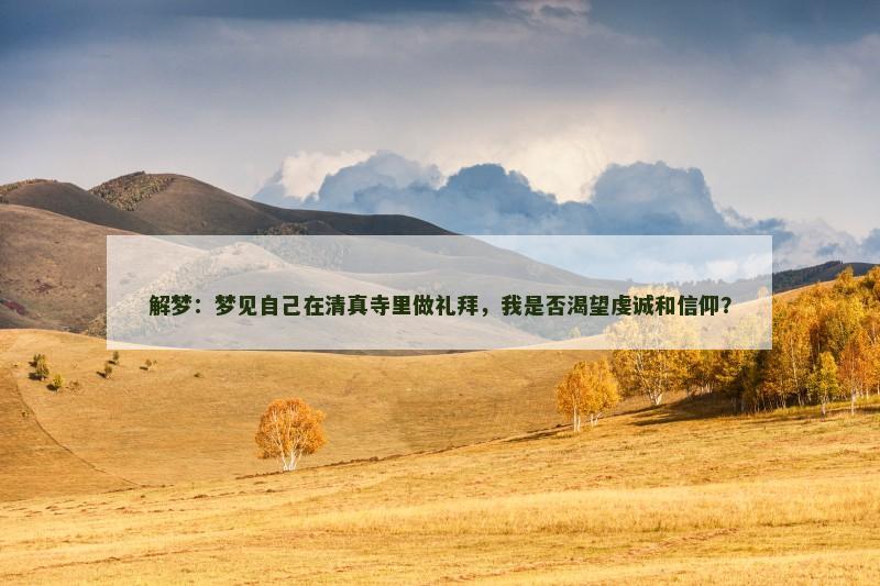 解梦：梦见自己在清真寺里做礼拜，我是否渴望虔诚和信仰？