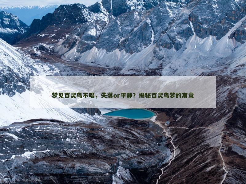 梦见百灵鸟不唱，失落or平静？揭秘百灵鸟梦的寓意