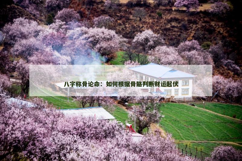 八字称骨论命：如何根据骨骼判断财运起伏