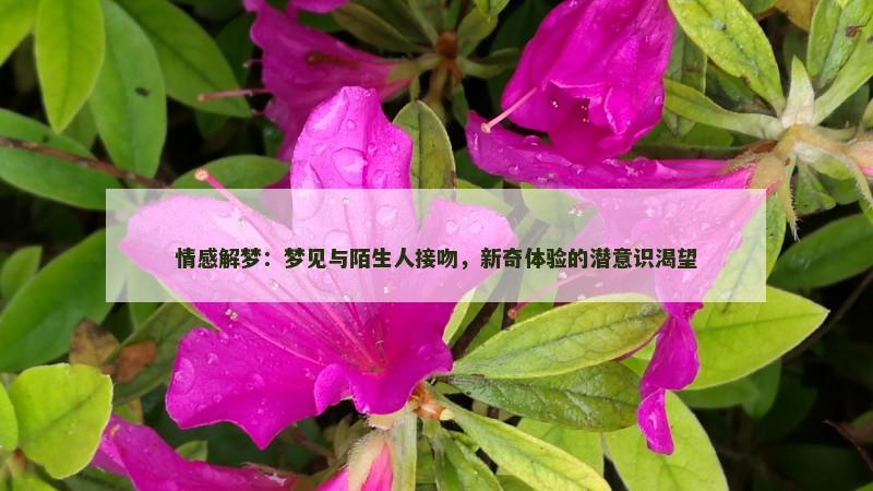 情感解梦：梦见与陌生人接吻，新奇体验的潜意识渴望