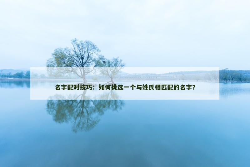 名字配对技巧：如何挑选一个与姓氏相匹配的名字？