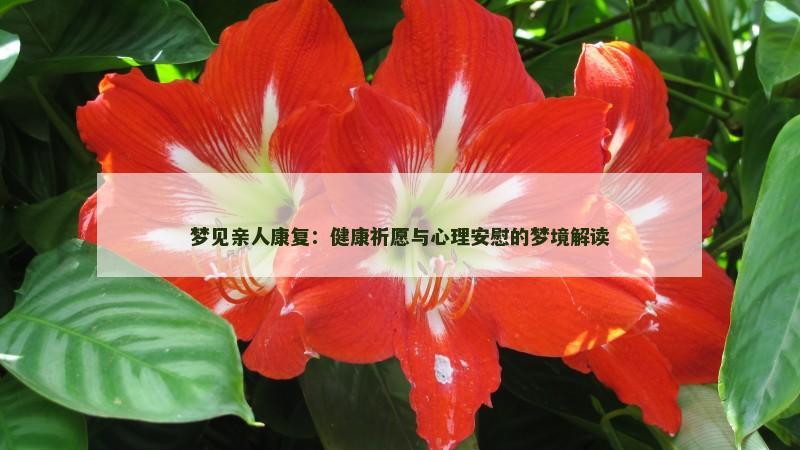 梦见亲人康复：健康祈愿与心理安慰的梦境解读