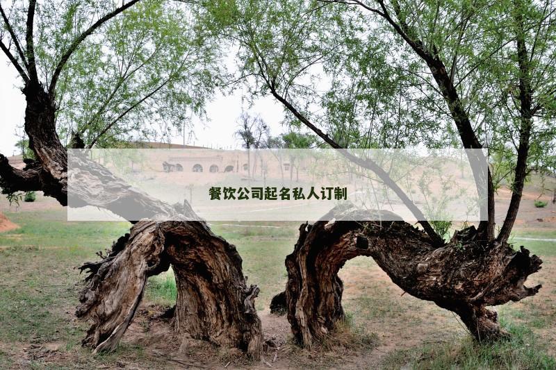 餐饮公司起名私人订制