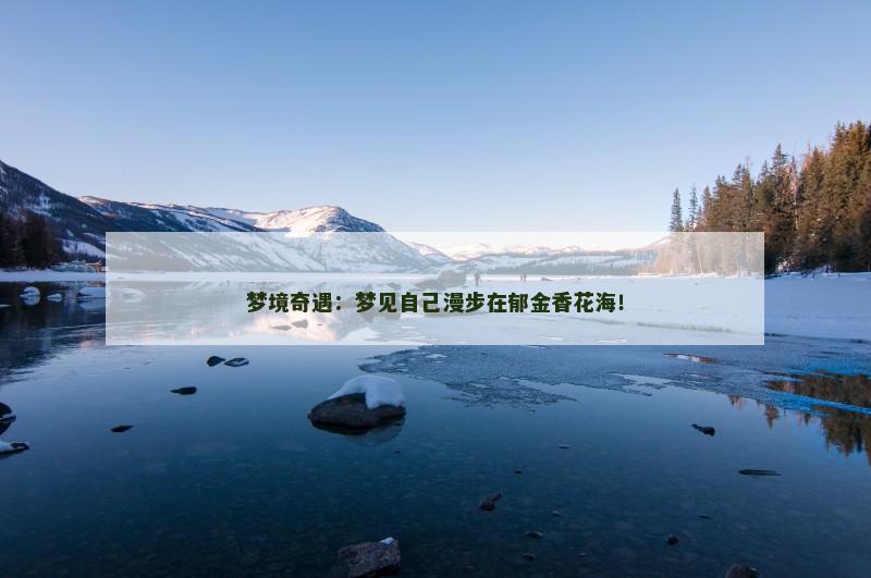 梦境奇遇：梦见自己漫步在郁金香花海！