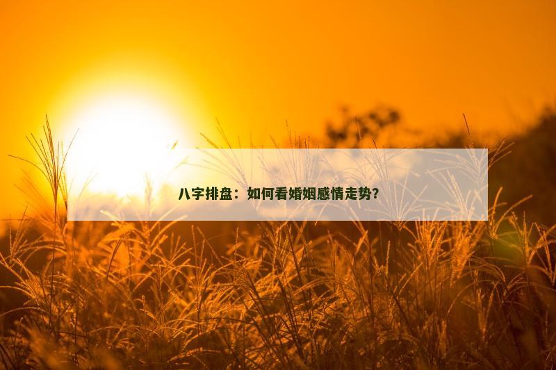 八字排盘：如何看婚姻感情走势？