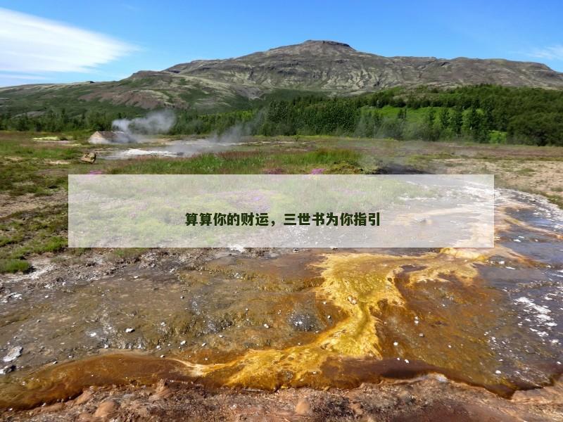 算算你的财运，三世书为你指引