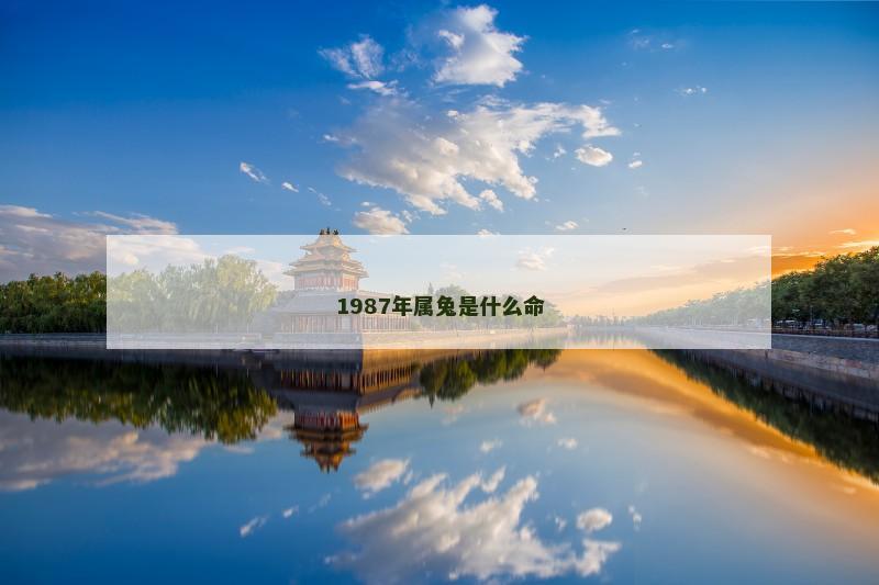 1987年属兔是什么命