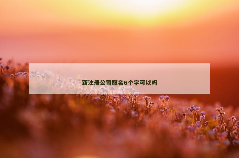 新注册公司取名6个字可以吗