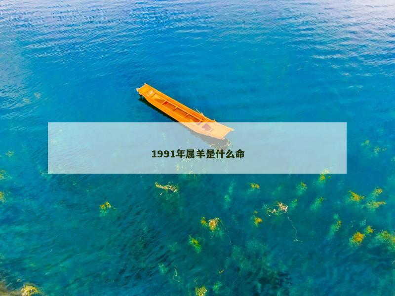 1991年属羊是什么命