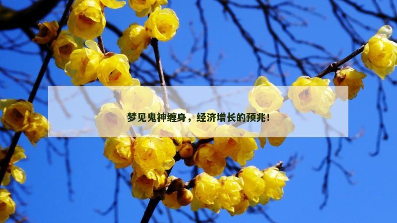 梦见鬼神缠身，经济增长的预兆！