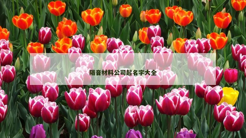 隔音材料公司起名字大全