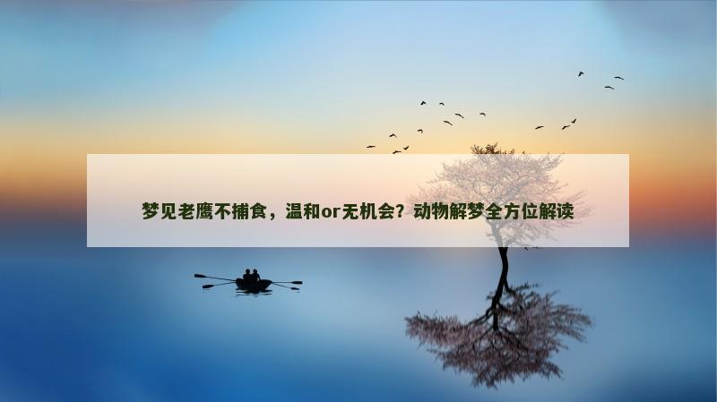 梦见老鹰不捕食，温和or无机会？动物解梦全方位解读