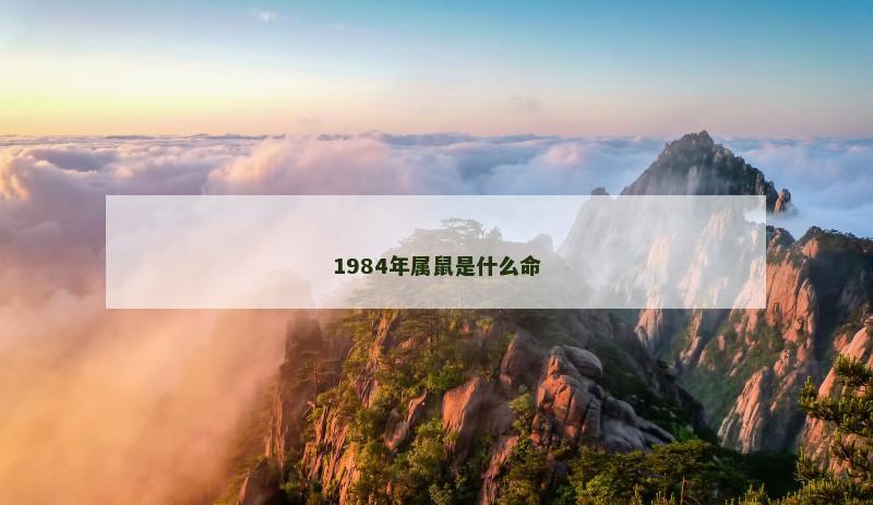 1984年属鼠是什么命