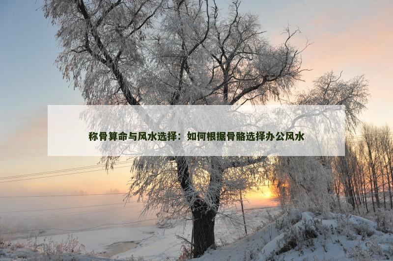 称骨算命与风水选择：如何根据骨骼选择办公风水