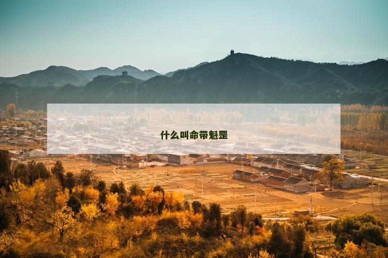 什么叫命带魁罡