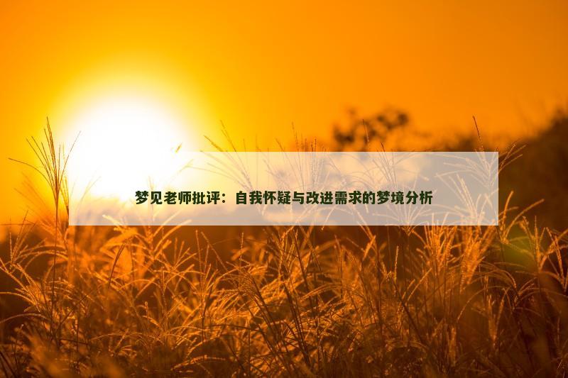 梦见老师批评：自我怀疑与改进需求的梦境分析