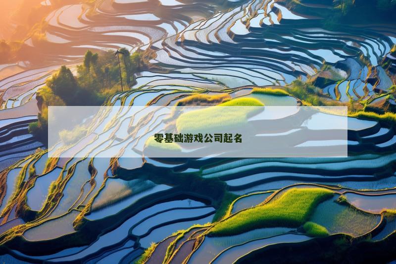 零基础游戏公司起名