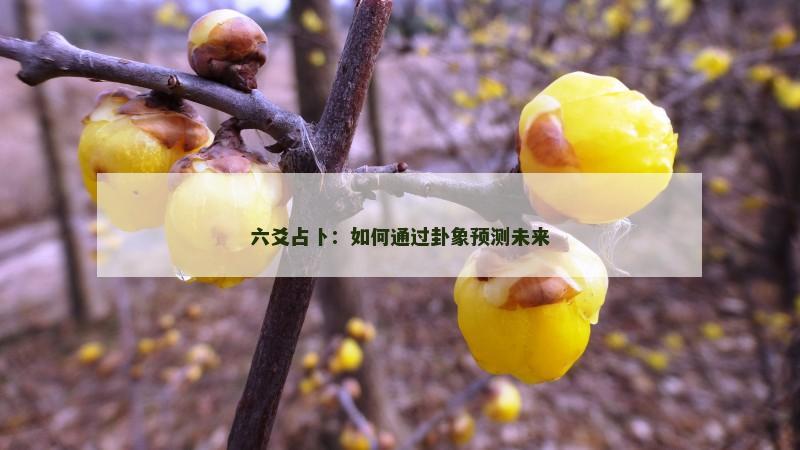 六爻占卜：如何通过卦象预测未来
