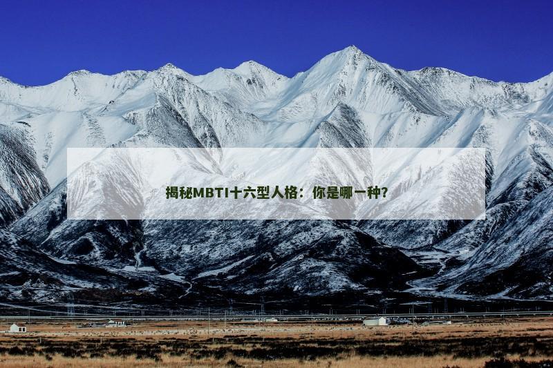 揭秘MBTI十六型人格：你是哪一种？