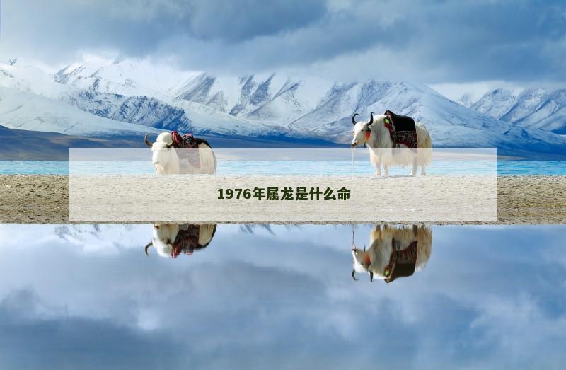 1976年属龙是什么命