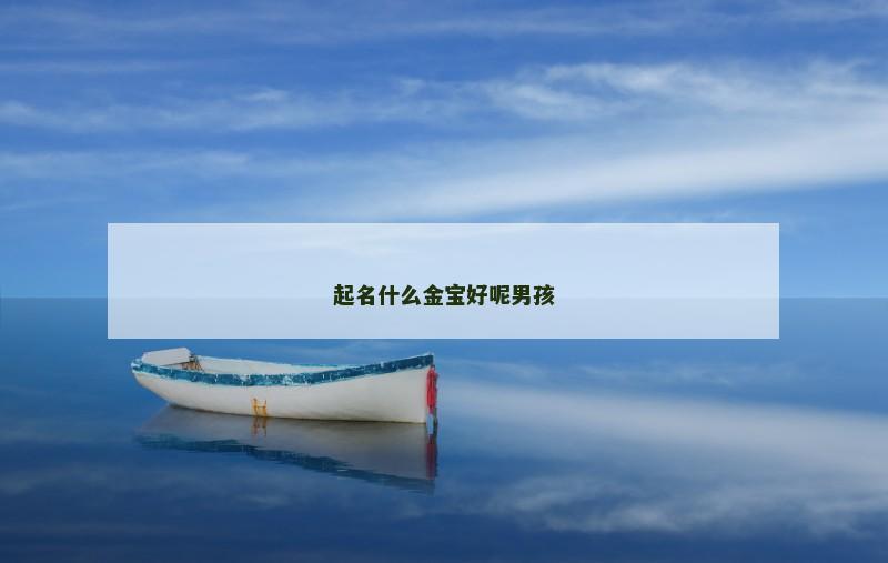 起名什么金宝好呢男孩