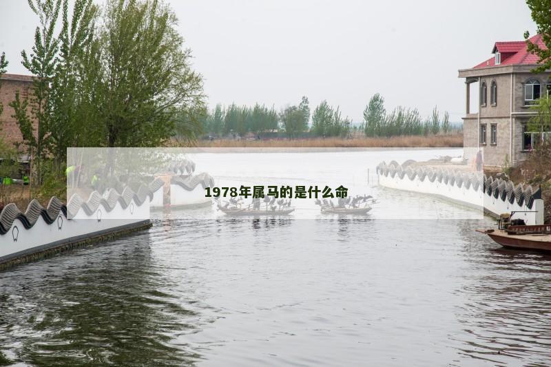 1978年属马的是什么命