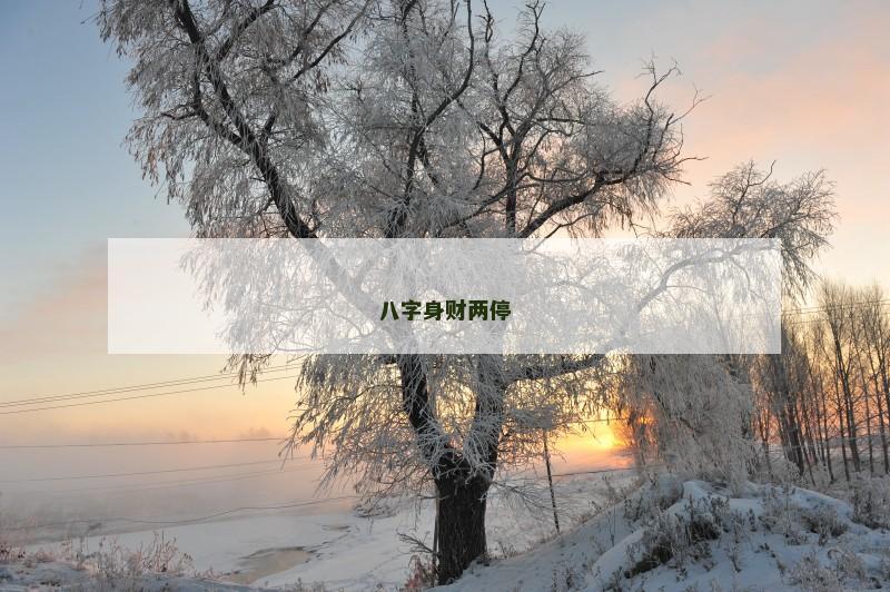八字身财两停