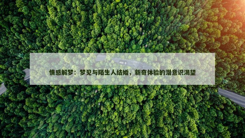 情感解梦：梦见与陌生人结婚，新奇体验的潜意识渴望