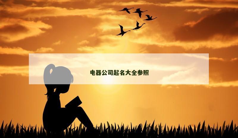 电器公司起名大全参照