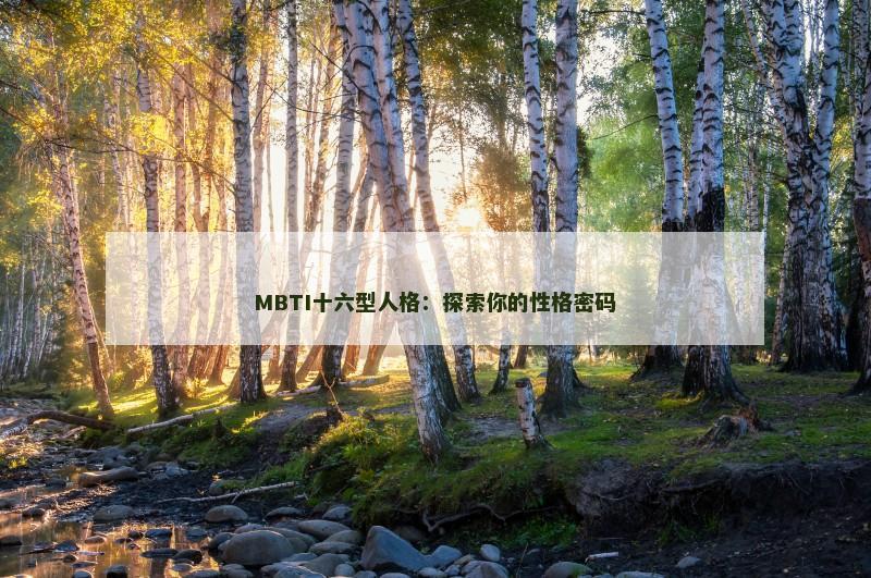 MBTI十六型人格:探索你的性格密码