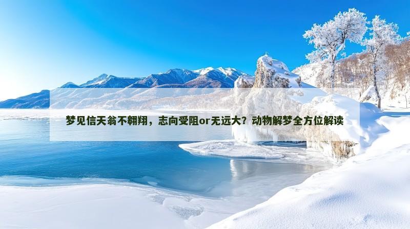 梦见信天翁不翱翔,志向受阻or无远大?动物解梦全方位解读 梦见信天翁不翱翔,志向受阻or无远大?动物解梦全方位解读