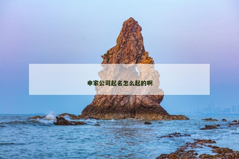 申家公司起名怎么起的啊