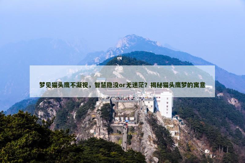 梦见猫头鹰不凝视,智慧隐没or无迷茫?揭秘猫头鹰梦的寓意 梦见猫头鹰不凝视,智慧隐没or无迷茫?揭秘猫头鹰梦的寓意