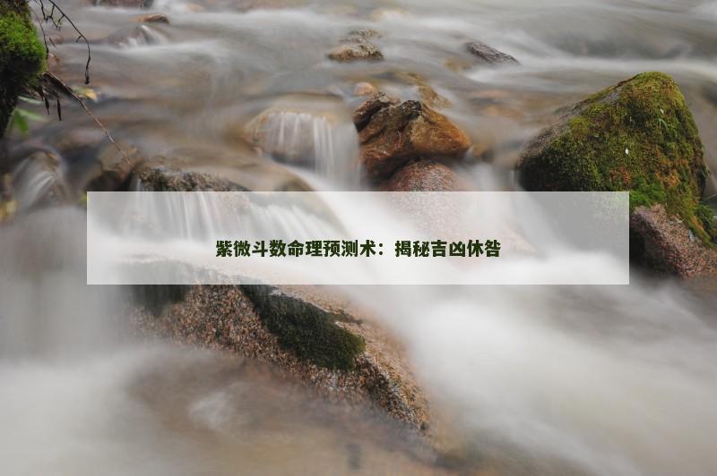 紫微斗数命理预测术:揭秘吉凶休咎