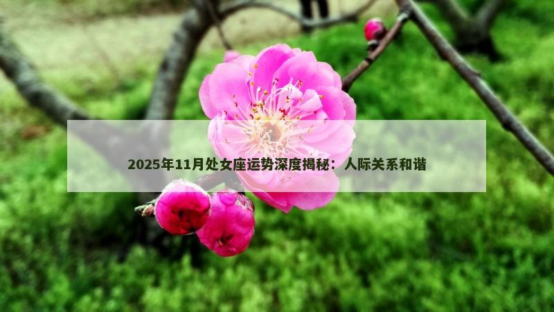 2025年11月处女座运势深度揭秘:人际关系和谐