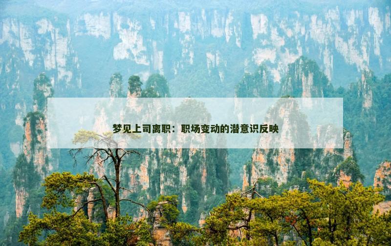 梦见上司离职:职场变动的潜意识反映