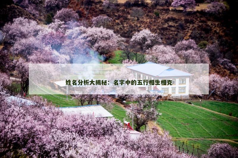 姓名分析大揭秘:名字中的五行相生相克