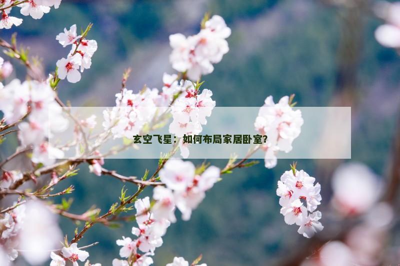 玄空飞星:如何布局家居卧室?