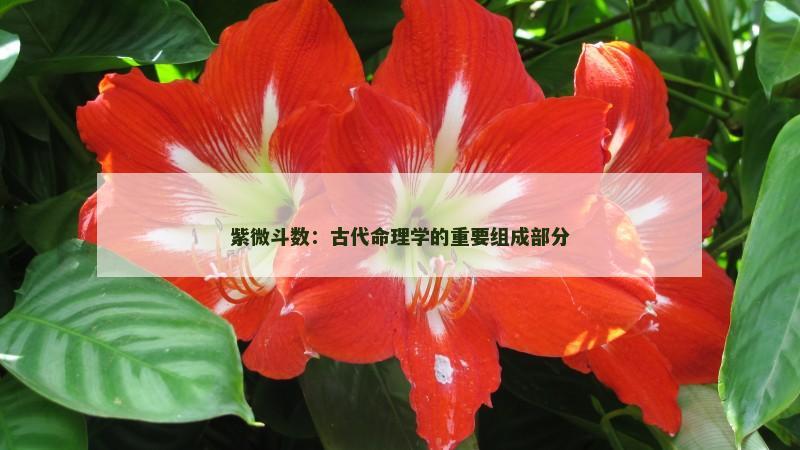 紫微斗数:古代命理学的重要组成部分