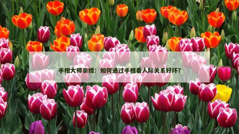 手相大师亲授:如何通过手相看人际关系好坏?