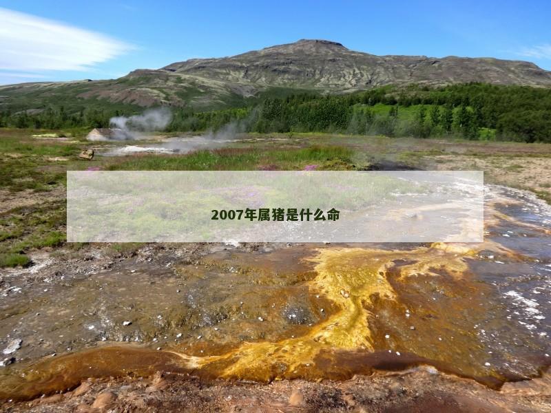 2007年属猪是什么命