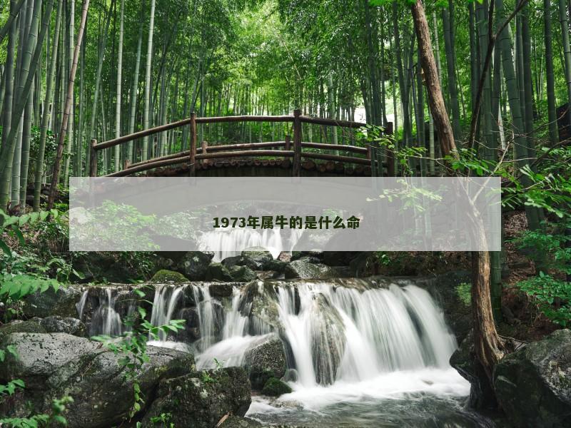 1973年属牛的是什么命