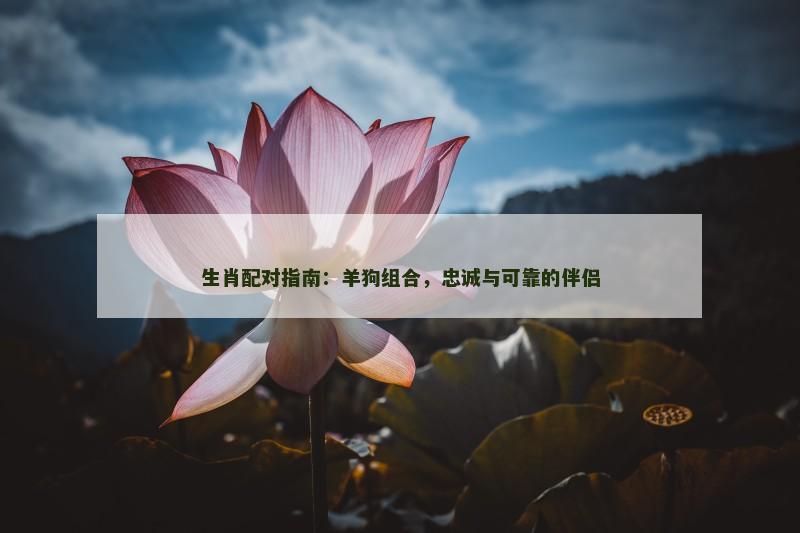 生肖配对指南:羊狗组合,忠诚与可靠的伴侣