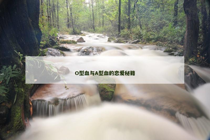 O型血与A型血的恋爱秘籍