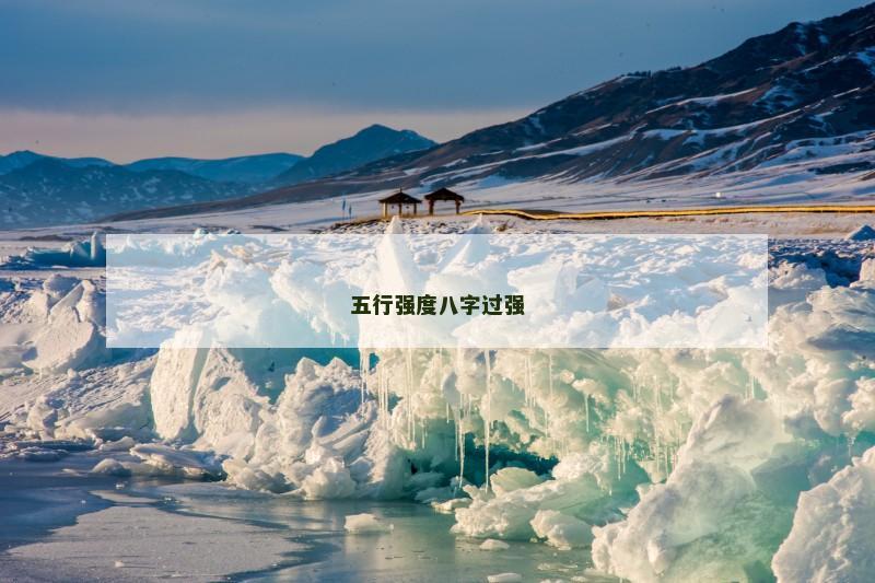 五行强度八字过强