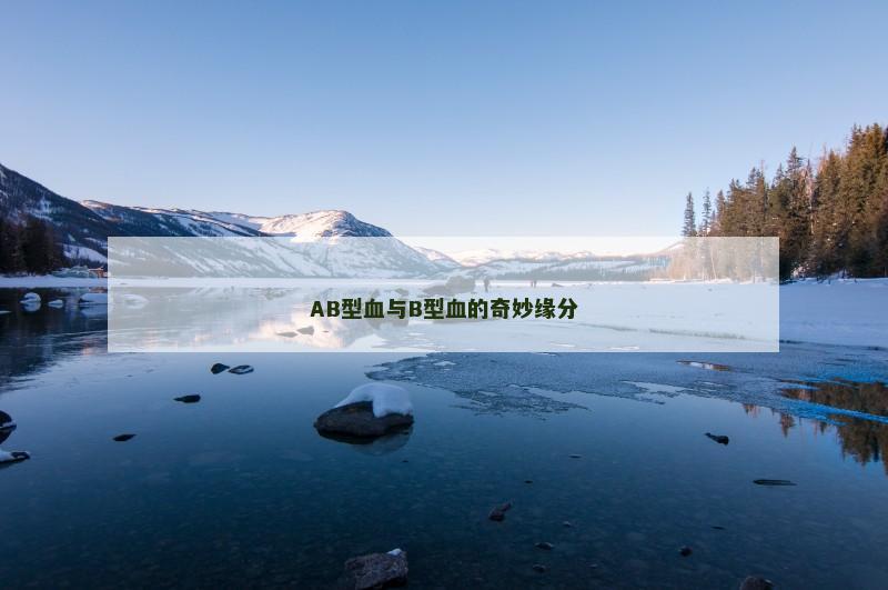 AB型血与B型血的奇妙缘分