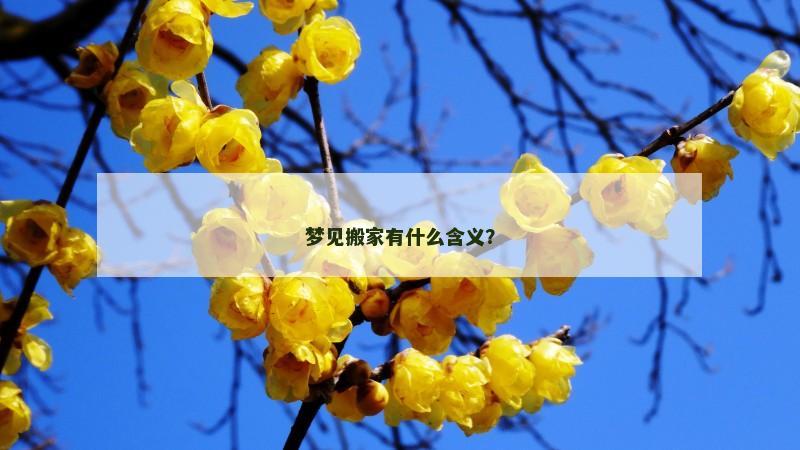 梦见搬家有什么含义？
