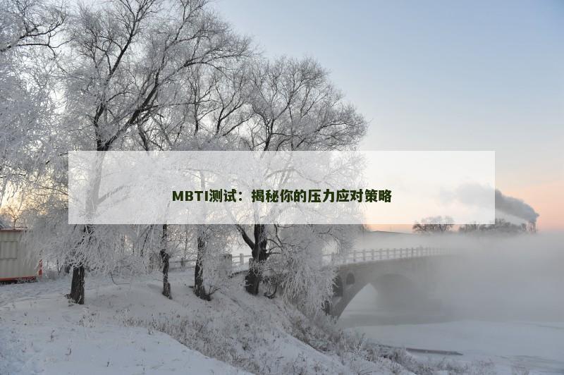 MBTI测试：揭秘你的压力应对策略