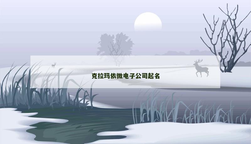 克拉玛依微电子公司起名