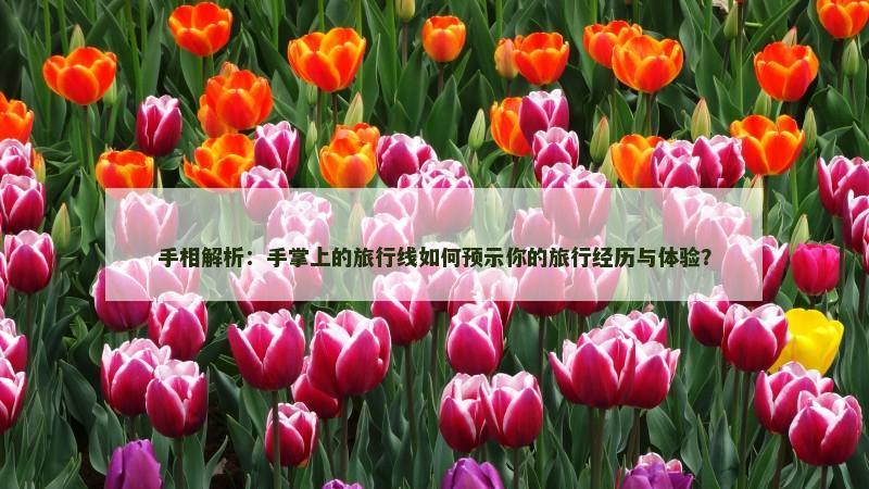 手相解析：手掌上的旅行线如何预示你的旅行经历与体验？